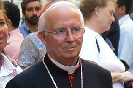 Kardinal Cañizares: »Ist es homophob die Familie zu verteidigen?«